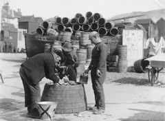 George Woods circa 1890